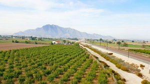 1 bedroom Finca in Callosa de Segura, Spain No. 8311