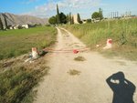 1 bedroom Finca in Callosa de Segura, Spain No. 8311 - Image 25
