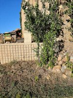 3 bedrooms House in Soria, Spain No. 84165 - Image 22