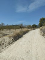 65m² Land in Mula, Spain No. 84966 - Image 2