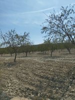 65m² Land in Mula, Spain No. 84966 - Image 3