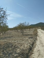 65m² Land in Mula, Spain No. 84966 - Image 4