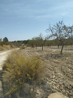 65m² Land in Mula, Spain No. 84966 - Image 5