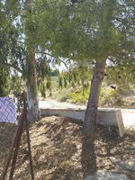 65m² Land in Mula, Spain No. 84966 - Image 7