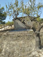 65m² Land in Mula, Spain No. 84966 - Image 11