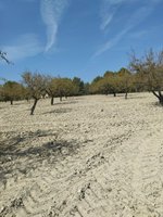 65m² Land in Mula, Spain No. 84966 - Image 13