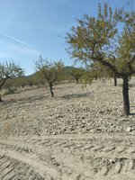 65m² Land in Mula, Spain No. 84966 - Image 14