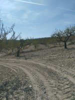 65m² Land in Mula, Spain No. 84966 - Image 15
