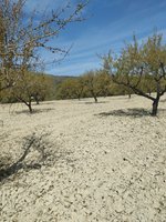 65m² Land in Mula, Spain No. 84966 - Image 16