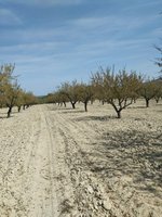 65m² Land in Mula, Spain No. 84966 - Image 17