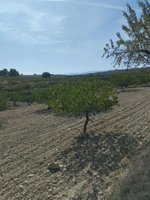 65m² Land in Mula, Spain No. 84966 - Image 20