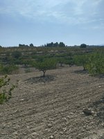65m² Land in Mula, Spain No. 84966 - Image 21