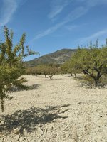 65m² Land in Mula, Spain No. 84966 - Image 22