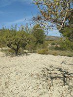 65m² Land in Mula, Spain No. 84966 - Image 23