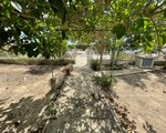 7 bedrooms Finca in San Fulgencio, Spain No. 8552 - Image 12