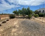 7 bedrooms Finca in San Fulgencio, Spain No. 8552 - Image 13