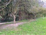 600m² Land in Asturias, Spain No. 85599 - Image 5