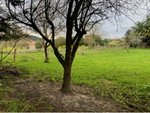 600m² Land in Asturias, Spain No. 85599 - Image 9