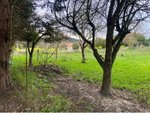 600m² Land in Asturias, Spain No. 85599 - Image 10