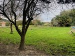 600m² Land in Asturias, Spain No. 85599 - Image 11