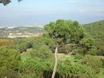 Land in Vallromanes, Spain No. 85761 - Image 2