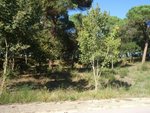 Land in Vallromanes, Spain No. 85761 - Image 3