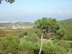 Land in Vallromanes, Spain No. 85761 - Image 4