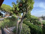 8 bedrooms House in Pedralbes, Spain No. 85981 - Image 3