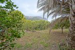 4 bedrooms Villa in Jesus Pobre, Spain No. 8733 - Image 12