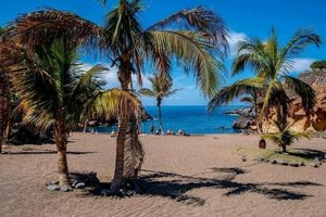 2 bedrooms Apartment in Adeje, Spain No. 87470