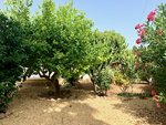 3 bedrooms Villa in Albir, Spain No. 8779 - Image 21