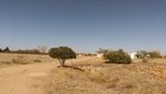 37740m² Land in Pelabravo, Spain No. 88467 - Image 7