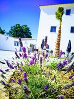 15 bedrooms House in Ronda, Spain No. 88650 - Image 7