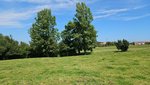 2600m² Land in Asturias, Spain No. 89431 - Image 4