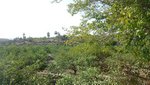 2 bedrooms House in Abanilla, Spain No. 90532 - Image 22