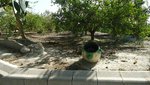 2 bedrooms House in Abanilla, Spain No. 90532 - Image 39
