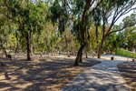3 bedrooms Apartment in Guardamar del Segura, Spain No. 9122 - Image 3