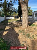 1 bedroom House in Naquera, Spain No. 91255 - Image 19