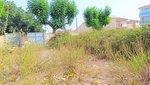 1082m² Land in Muro, Spain No. 92199 - land in Spain