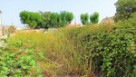 1082m² Land in Muro, Spain No. 92199 - Image 3