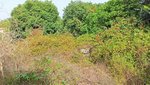 1082m² Land in Muro, Spain No. 92199 - Image 5