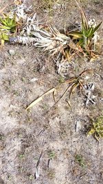1082m² Land in Muro, Spain No. 92199 - Image 7