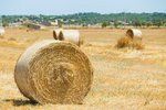 1082m² Land in Muro, Spain No. 92199 - Image 13