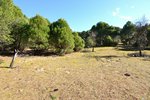14338m² Land in San Martin de Valdeiglesias, Spain No. 93672 - land in Spain