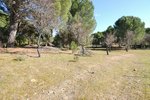 14338m² Land in San Martin de Valdeiglesias, Spain No. 93672 - Image 5