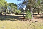 14338m² Land in San Martin de Valdeiglesias, Spain No. 93672 - Image 6