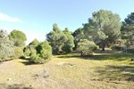 14338m² Land in San Martin de Valdeiglesias, Spain No. 93672 - Image 10