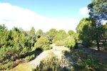 14338m² Land in San Martin de Valdeiglesias, Spain No. 93672 - Image 11
