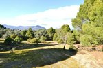 14338m² Land in San Martin de Valdeiglesias, Spain No. 93672 - Image 12