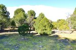 14338m² Land in San Martin de Valdeiglesias, Spain No. 93672 - Image 14